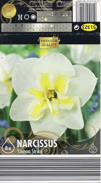 Narcissus 'Lemon Strike' - Bulbs
