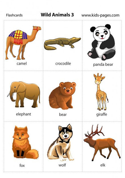 Wild Animals 3 - Animale desenate