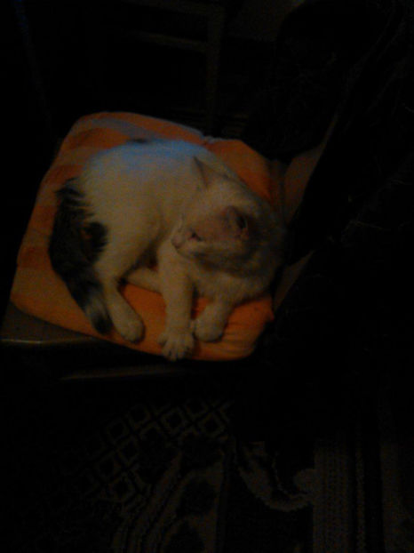 22199367_1712481605430962_1959443102_o - In vizita la Maria _septembrie 2017