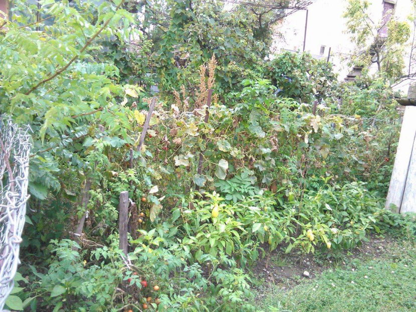 22251072_1712481282097661_1295435475_o - In vizita la Maria _septembrie 2017