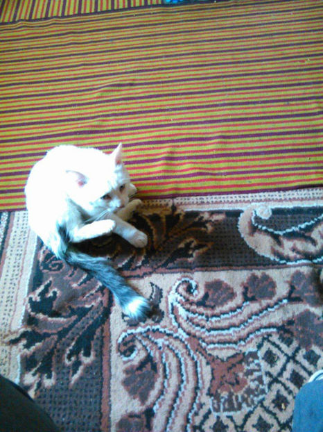 22251400_1712480818764374_2092292476_o - In vizita la Maria _septembrie 2017