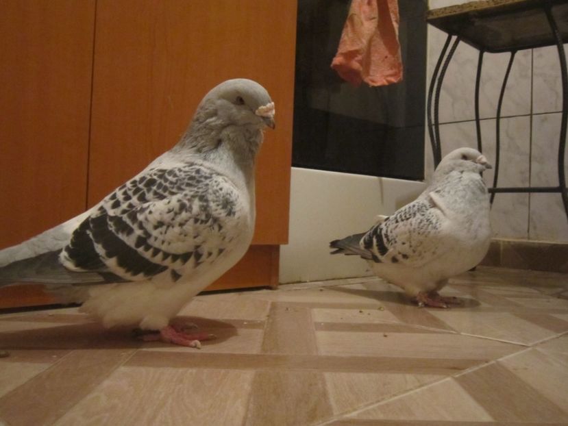 CRISTIANO&NEYMAR - CRISTIANO VS NEYMAR