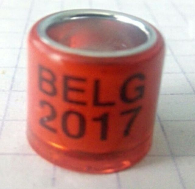 2017-Belgia - Inele colectie de vanzare