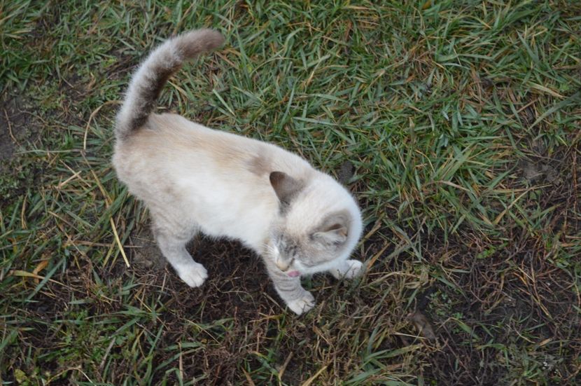  - a CONTACT________________a