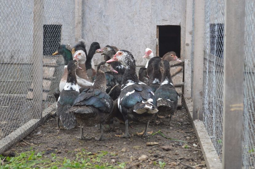  - a CONTACT________________a