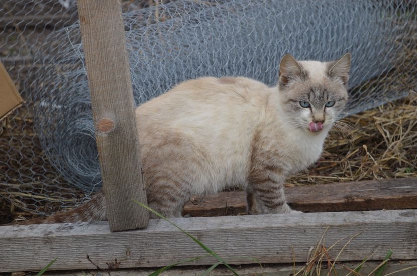  - a CONTACT________________a