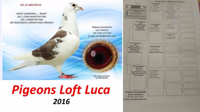 Baltatul - Achizitii noi