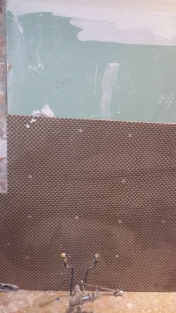  - Lucrari in Lyon 2018