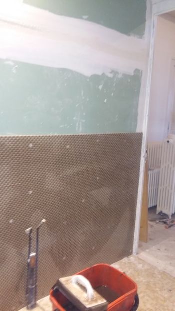  - Lucrari in Lyon 2018