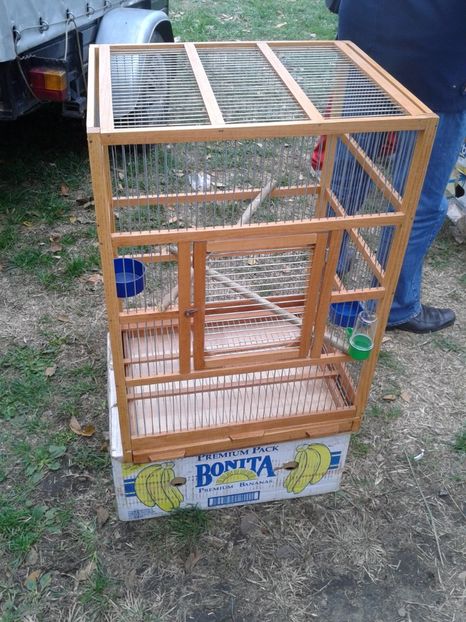 Fotografie0086 - 24---targ pancevo serbia 29 10 2017