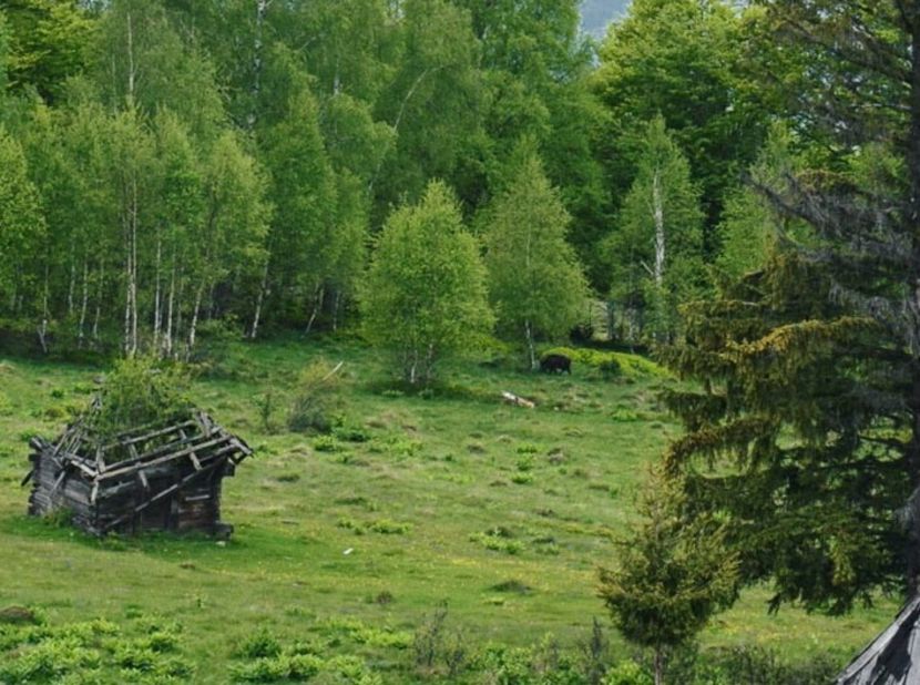  - Photo 08 - Vara