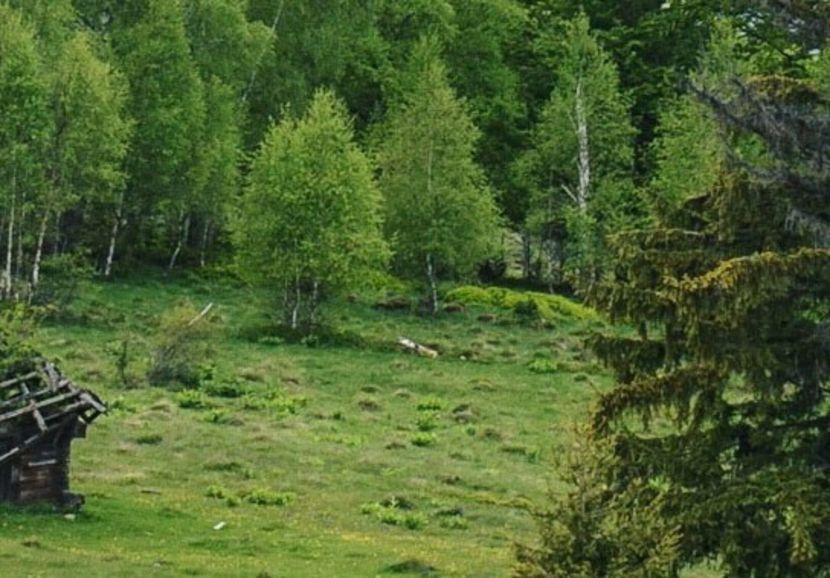  - Photo 08 - Vara