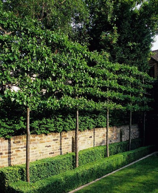 adelaparvu.com-despre-gradini-mici-si-elegante-Gradina-Kensington-Gardens-designer-Luciano-Giubbilei - CASE MODELE