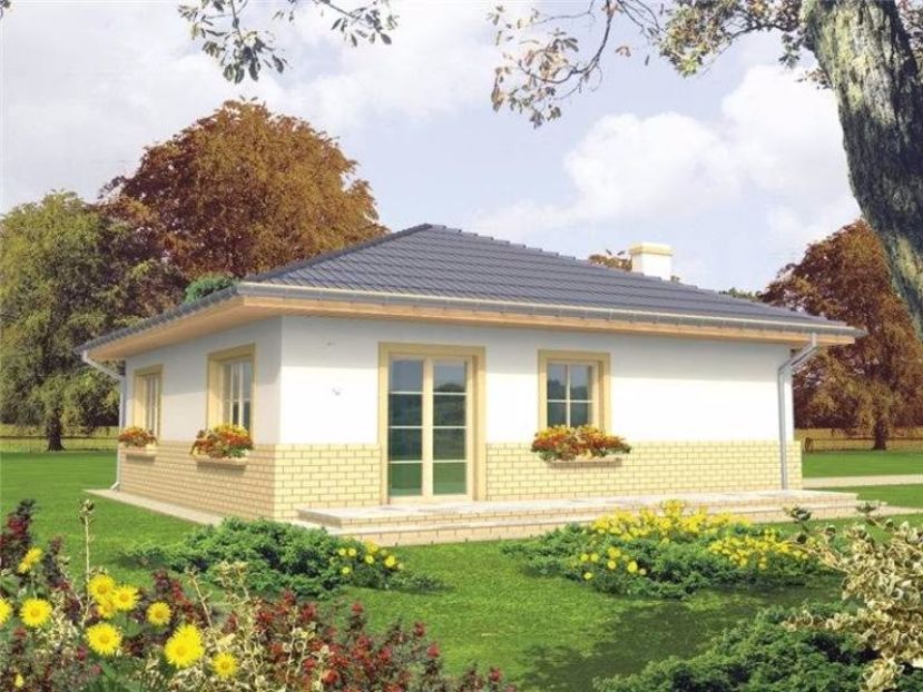 case-la-tara-pentru-parinti-1-lateral - CASE MODELE