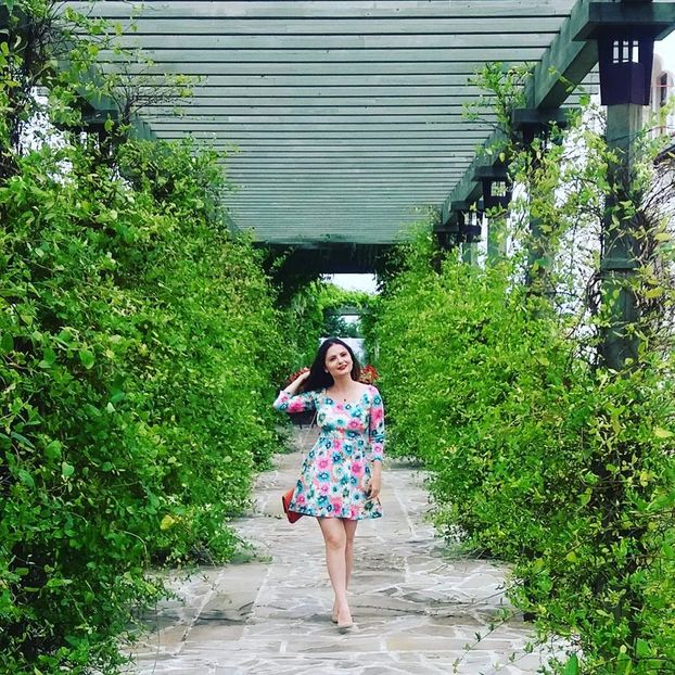 Dobrosua - CASE MODELE