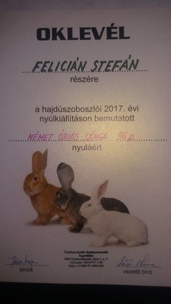 Campion Mascul Expozitia Hajduszaboszloi Ungaria ! - A-REZULTATE OBTINUTE