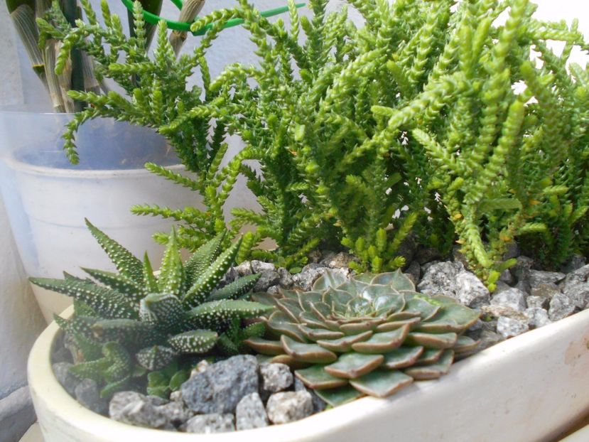  - Green office