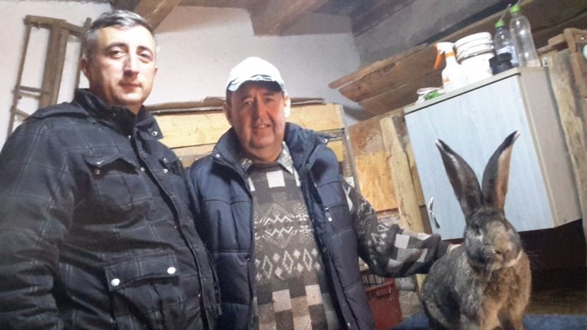 Eu și domnul Bela Gyorgyjakab! - Bela Gyorgyjakab - Donroberto30