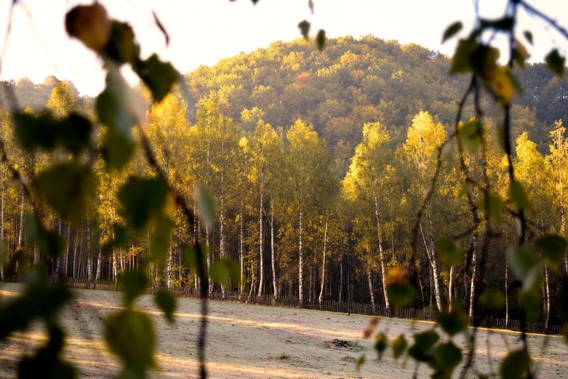  - Photo 11 - Toamna 2017