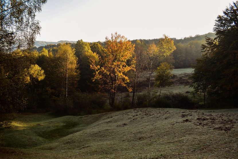  - Photo 11 - Toamna 2017