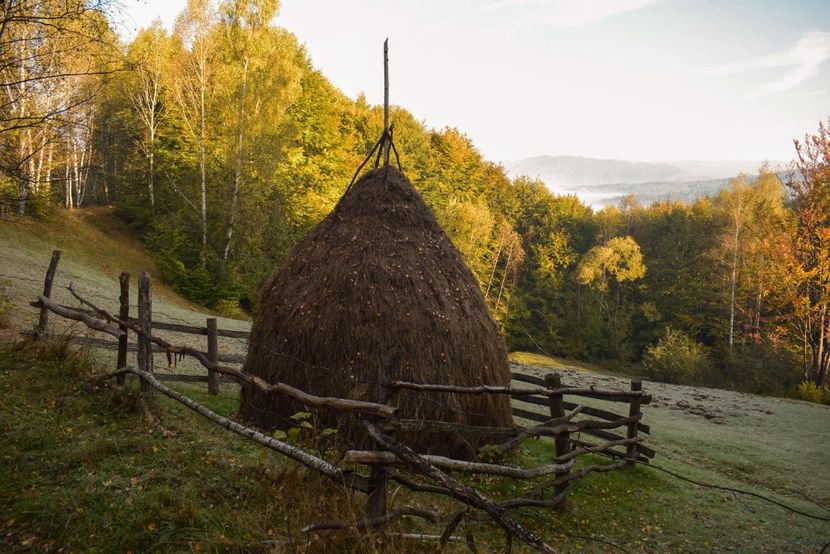  - Photo 11 - Toamna 2017