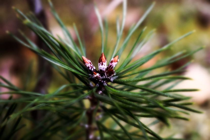  - Photo 11 - Toamna 2017