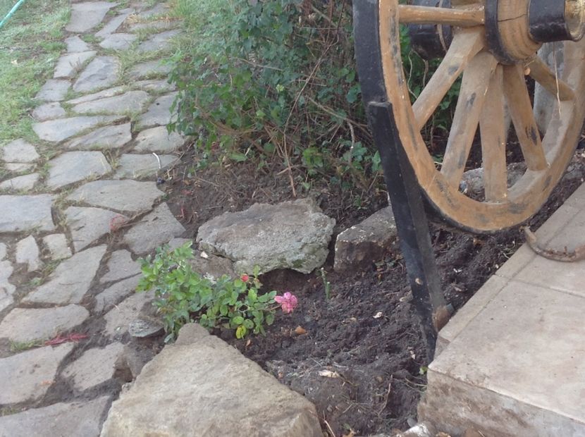  - Ilse Krohn Superior