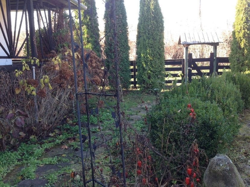  - Cai musafiri la Mosie