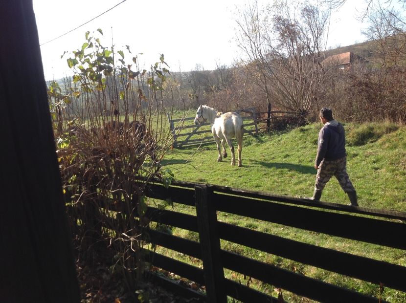  - Cai musafiri la Mosie