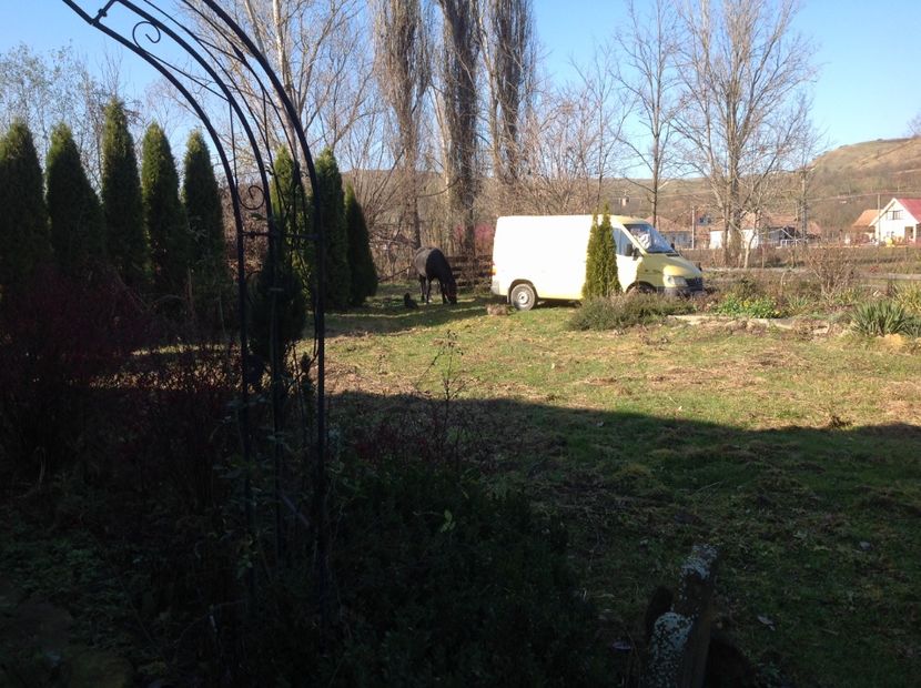  - Cai musafiri la Mosie