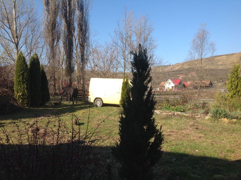  - Cai musafiri la Mosie