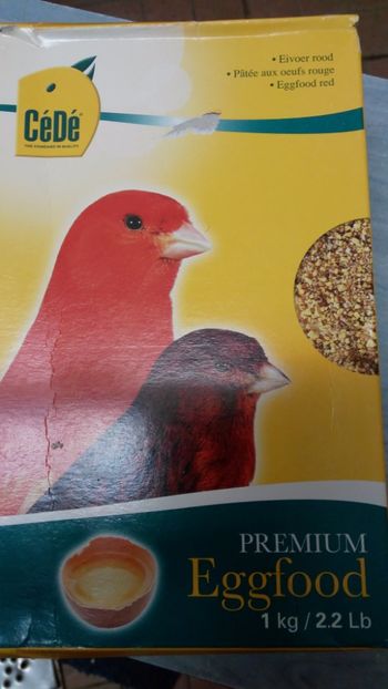 Vede Red Belgia 32lei kg - HRANA MANITUBA PROFESIONALA