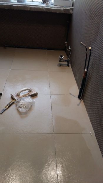  - Lucrari in Lyon 2018