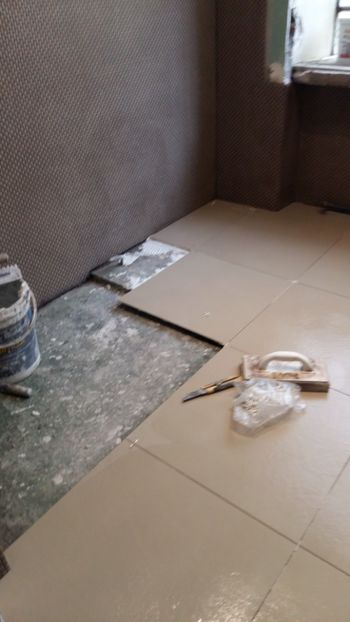  - Lucrari in Lyon 2018