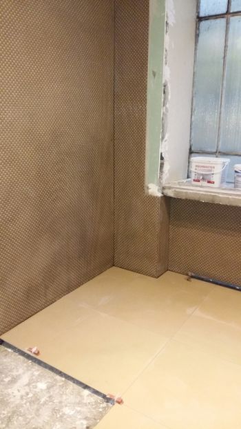  - Lucrari in Lyon 2018