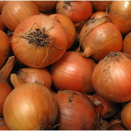 ceapa- 1 poza Selena