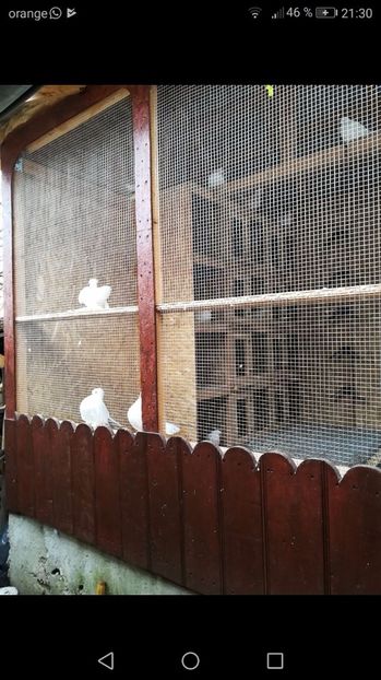 IMG-20171108-WA0015 - Casa porumbeilor