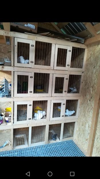 IMG-20171108-WA0011 - Casa porumbeilor