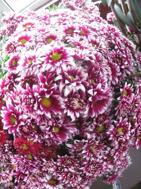  - sfirsit de toamna in gradina