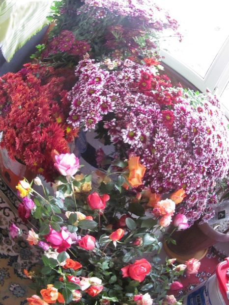  - sfirsit de toamna in gradina