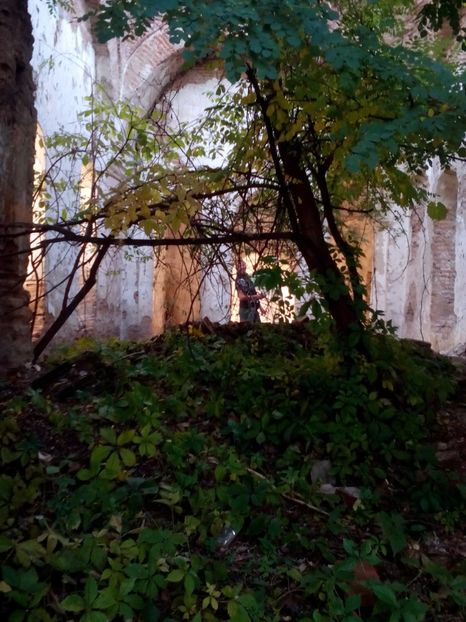  - Peripeții detecție