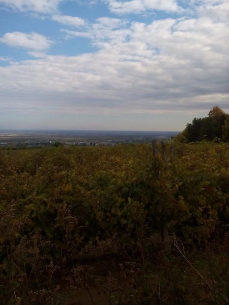  - Peripeții detecție