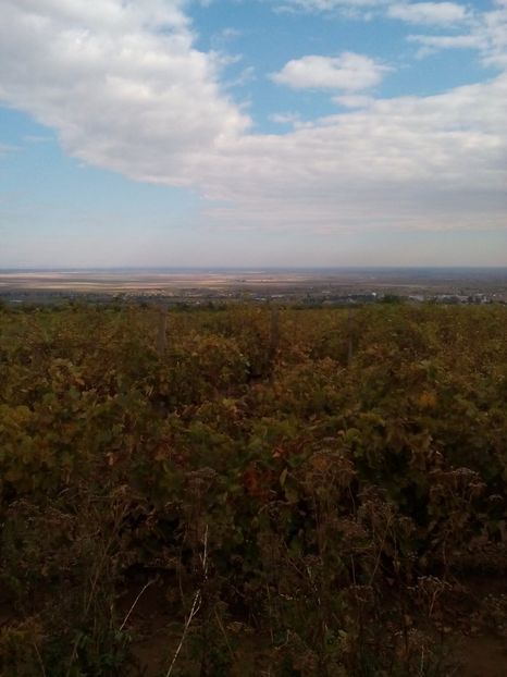  - Peripeții detecție