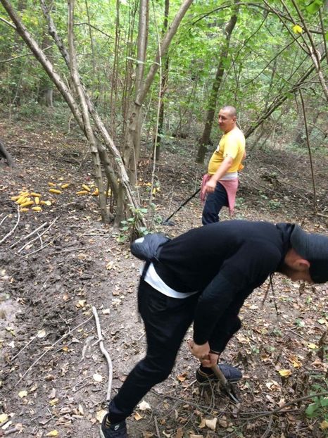 received_1560768010651682 - Peripeții detecție