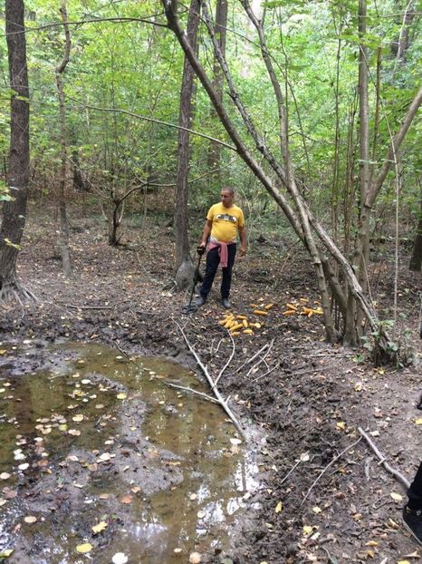 received_1560767987318351 - Peripeții detecție