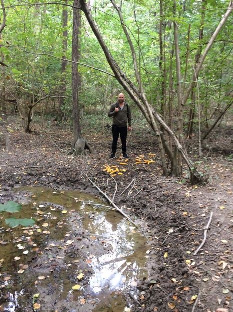 received_1560767900651693 - Peripeții detecție