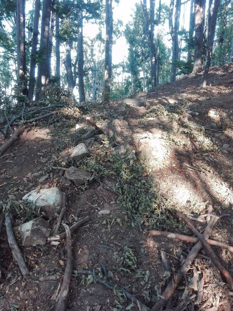 received_312163669189279 - Peripeții detecție