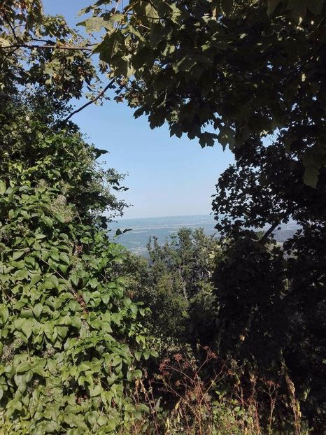 received_312163689189277 - Peripeții detecție