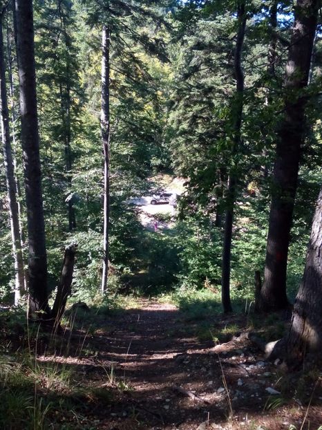  - diverse fotografii