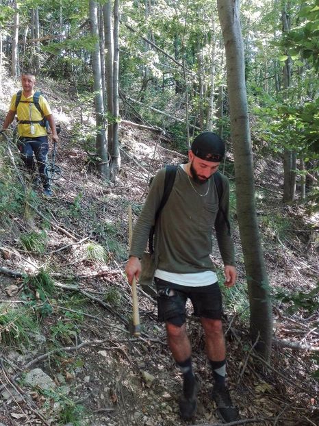 received_312162929189353 - Prin pădure